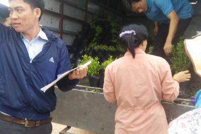 TRƯỜNG MẦM NON PHỔ CƯỜNG  HƯỞNG ỨNG XÂY DỰNG NÔNG THÔN MỚI